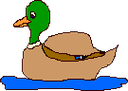 unmoving_duck