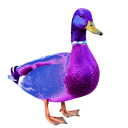 Author icon