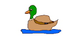 duck