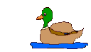 duckgif
