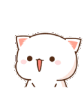 Hatori_cat39