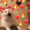 Cat_love