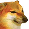 Dog_Cheems